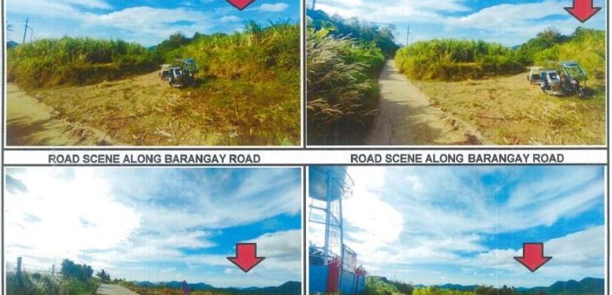Foreclosed Agricultural Lot in Nasugbu, Batangas, Luzon #2