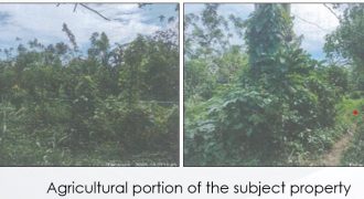 Foreclosed Property in Tanauan City, Batangas · Lot No. 4362 (PDIC)