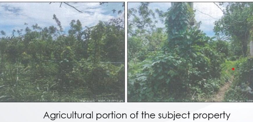 Foreclosed Property in Tanauan City, Batangas · Lot No. 4362 (PDIC)