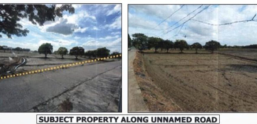Foreclosed Residential Lot in Pulilan, Bulacan (PDIC)