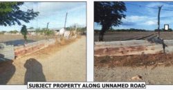 Foreclosed Agricultural Lot in Pulilan, Bulacan (PDIC)