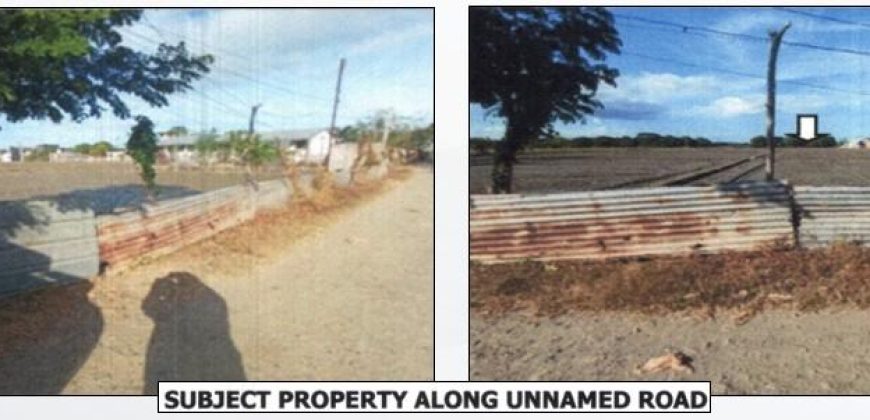 Foreclosed Agricultural Lot in Pulilan, Bulacan (PDIC)