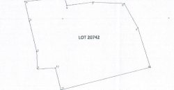 Foreclosed Agricultural Lot in San Pablo City, Laguna (PDIC)