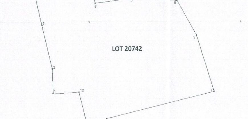 Foreclosed Agricultural Lot in San Pablo City, Laguna (PDIC)
