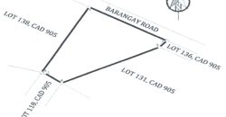 Foreclosed Property in Tubay, Agusan del Norte (PDIC)