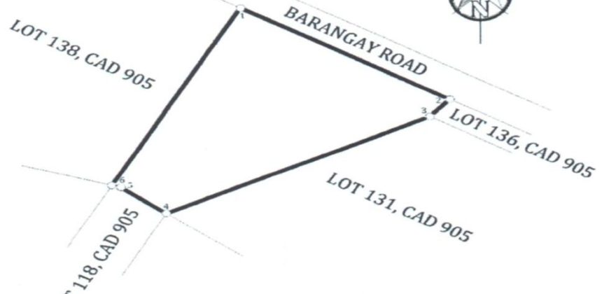 Foreclosed Property in Tubay, Agusan del Norte (PDIC)