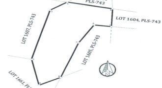 Foreclosed Property in Jabonga, Agusan del Norte (PDIC)