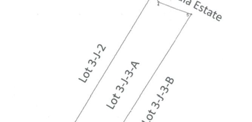Foreclosed Residential Lot in Kaloocan, Metro Manila (PDIC)