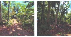 Foreclosed Property in Butuan City, Agusan del Norte (PDIC)