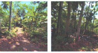 Foreclosed Property in Butuan City, Agusan del Norte (PDIC)