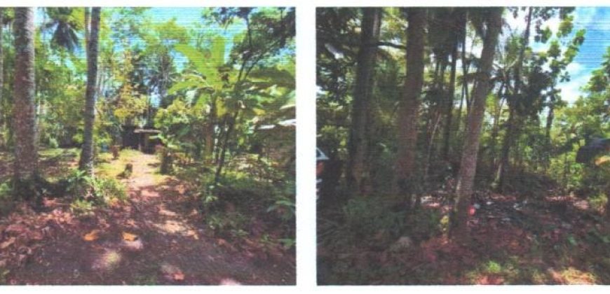 Foreclosed Property in Butuan City, Agusan del Norte (PDIC)