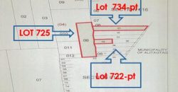 Foreclosed Agricultural Lot in Sta Teresita, Batangas · Lot No. 725 (PDIC)