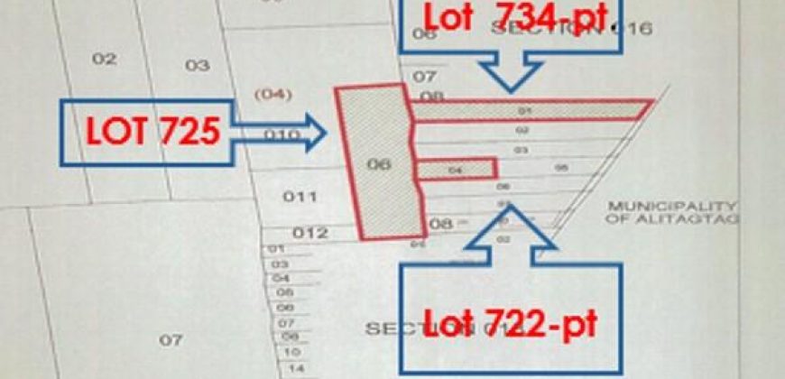 Foreclosed Agricultural Lot in Sta Teresita, Batangas · Lot No. 725 (PDIC)