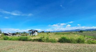 Foreclosed Agricultural Lot in San Jose, Occidental Mindoro