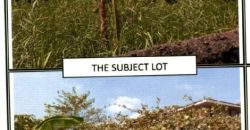 Foreclosed Commercial Lot in Malolos, Bulacan – Canlapan St. (PDIC)