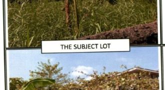 Foreclosed Commercial Lot in Malolos, Bulacan – Canlapan St. (PDIC)