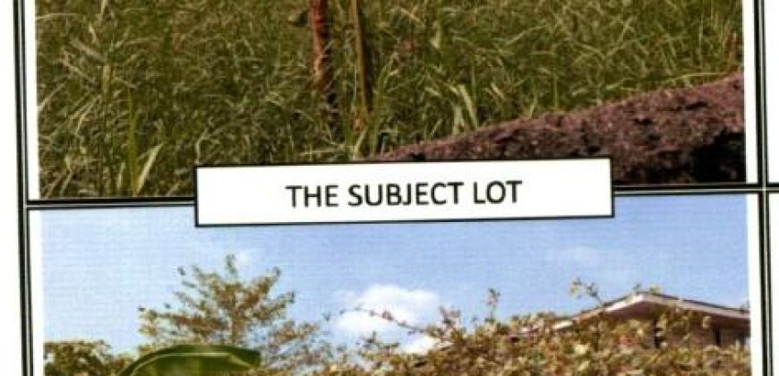 Foreclosed Commercial Lot in Malolos, Bulacan – Canlapan St. (PDIC)