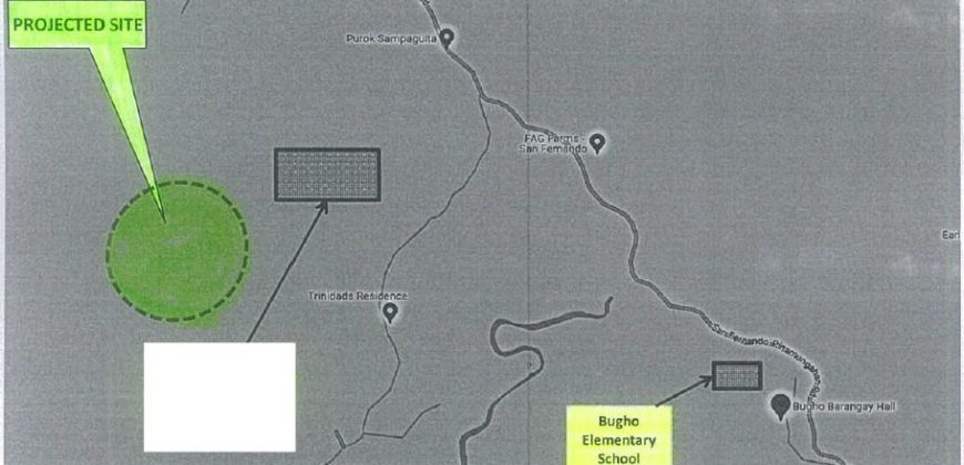 Foreclosed Agricultural Lot in Cebu City