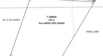 Foreclosed Agricultural Lot in Gamu, Isabela (PDIC)