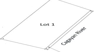 Foreclosed Agricultural Lot in Gamu, Isabela · Lot 1 (PDIC)