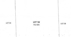 Foreclosed Agricultural Lot in Datu Montawal, Maguindanao · Lot 56 (PDIC)