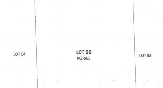 Foreclosed Agricultural Lot in Datu Montawal, Maguindanao · Lot 56 (PDIC)