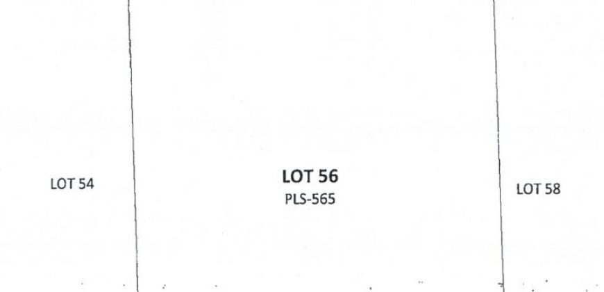 Foreclosed Agricultural Lot in Datu Montawal, Maguindanao · Lot 56 (PDIC)