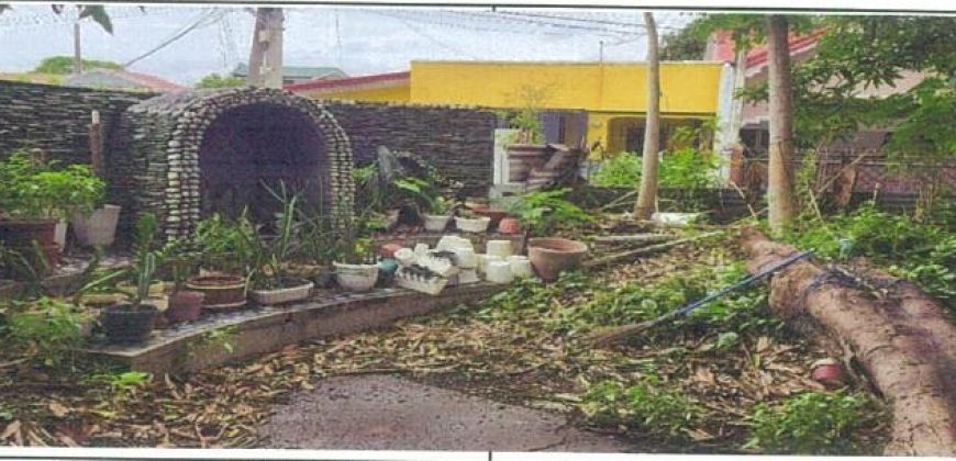 Foreclosed Residential Lot in Las Pinas City, Metro Manila – Pilar Village III (PDIC)