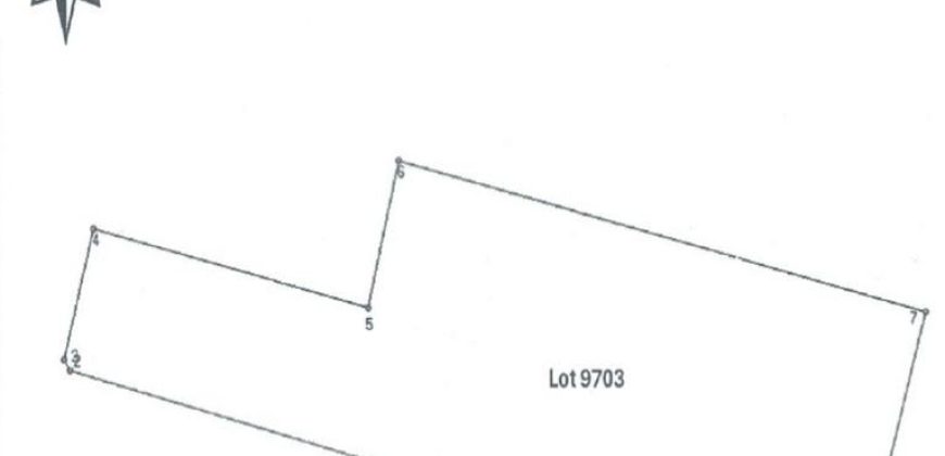 Foreclosed Property in Balaoan, La Union · Lot 9703 (PDIC)