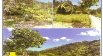 Foreclosed Agricultural Lot in San Fernando City, La Union · Lot No. 15817 (PDIC)