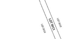 Foreclosed Agricultural Lot in Malasiqui, Pangasinan · Lot 3011 (PDIC)