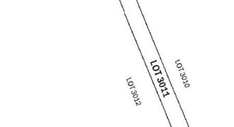 Foreclosed Agricultural Lot in Malasiqui, Pangasinan · Lot 3011 (PDIC)