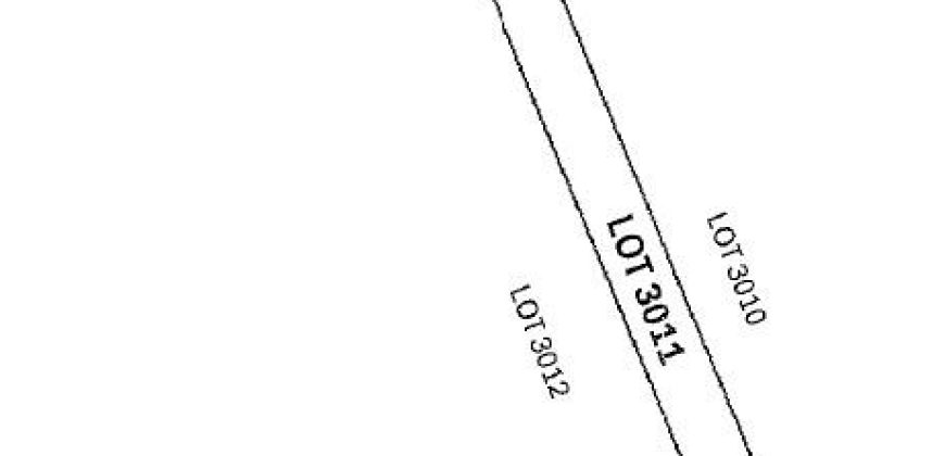 Foreclosed Agricultural Lot in Malasiqui, Pangasinan · Lot 3011 (PDIC)