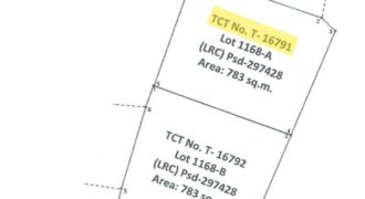 Foreclosed Residential Lot in Roxas, Capiz (PDIC)