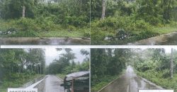 Foreclosed Residential Lot in Quezon City, Palawan – Sampaguita Village (PDIC)