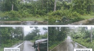 Foreclosed Residential Lot in Quezon City, Palawan – Sampaguita Village (PDIC)