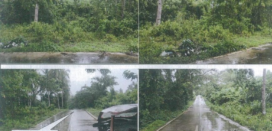Foreclosed Residential Lot in Quezon City, Palawan – Sampaguita Village (PDIC)