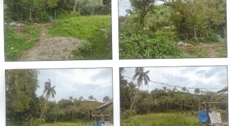 Foreclosed Property in Tibiao, Antique (PDIC)