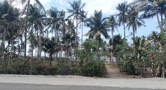 Foreclosed Residential Lot in City Of Cauayan City, Negros Occidental (Metrobank)