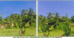 Foreclosed Agricultural Lot in San Fernando City, Cebu · Lot No. 3142-P (PDIC)