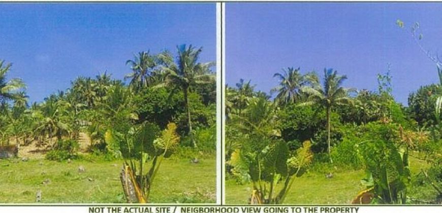 Foreclosed Agricultural Lot in San Fernando City, Cebu · Lot No. 3142-P (PDIC)