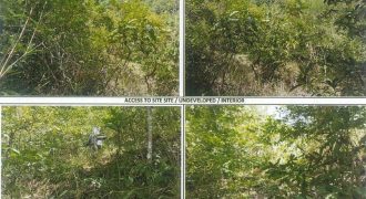 Foreclosed Agricultural Lot in Argao, Cebu · Lot No. 2883 (PDIC)