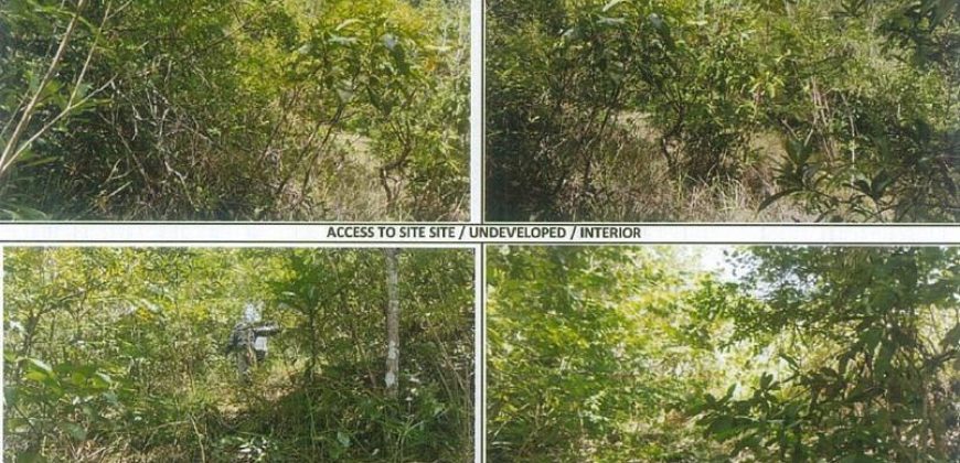 Foreclosed Agricultural Lot in Argao, Cebu · Lot No. 2883 (PDIC)