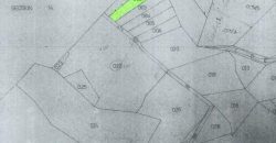 Foreclosed Agricultural Lot in San Fernando City, Cebu · Lot No. 3018-B (PDIC)
