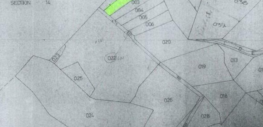 Foreclosed Agricultural Lot in San Fernando City, Cebu · Lot No. 3018-B (PDIC)