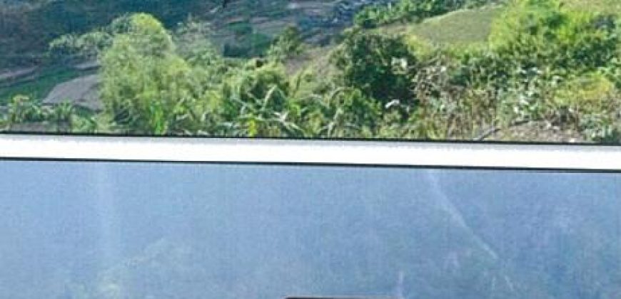 Foreclosed Agricultural Lot in Kabayan, Benguet (PDIC)