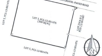 Foreclosed Residential Lot in Cabadbaran City, Agusan del Norte · Lot 3 (PDIC)