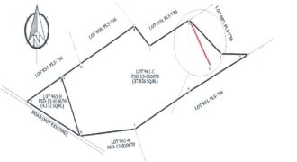 Foreclosed Agricultural Lot in Cabadbaran City, Agusan del Norte (PDIC)