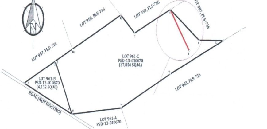Foreclosed Agricultural Lot in Cabadbaran City, Agusan del Norte (PDIC)