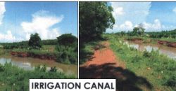 Foreclosed Agricultural Lot in Echague, Isabela, Luzon #7
